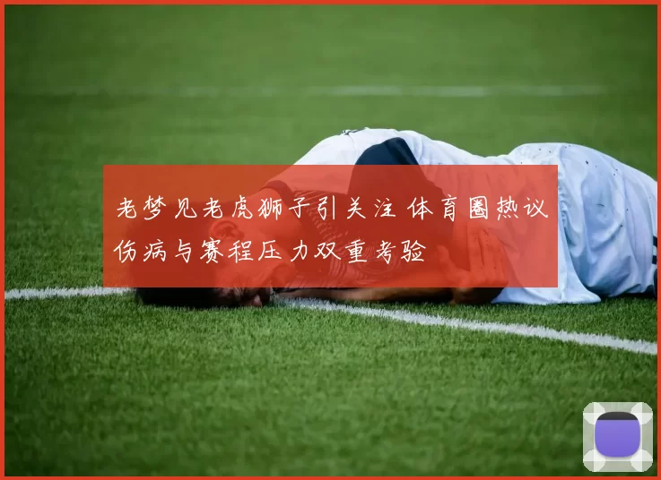 老梦见老虎狮子引关注 体育圈热议伤病与赛程压力双重考验