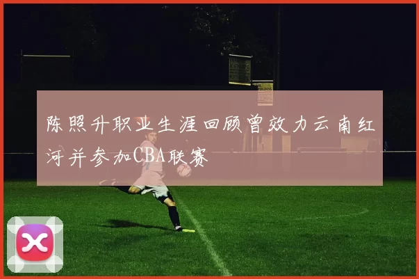 陈照升职业生涯回顾曾效力云南红河并参加CBA联赛